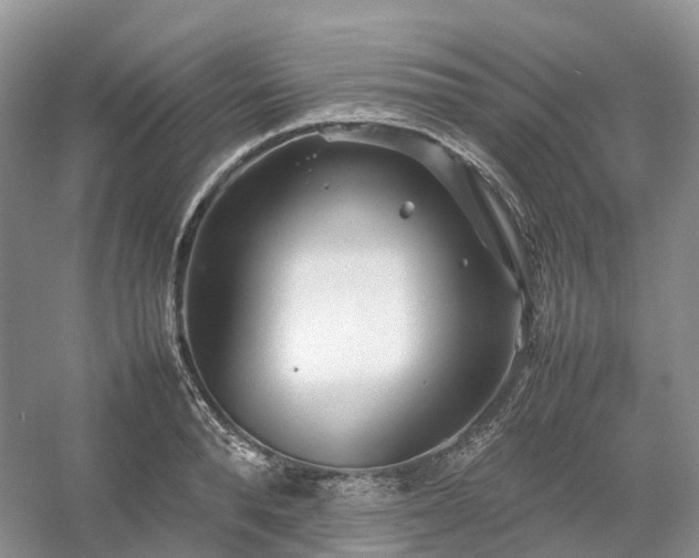 X0000054370896200508051552