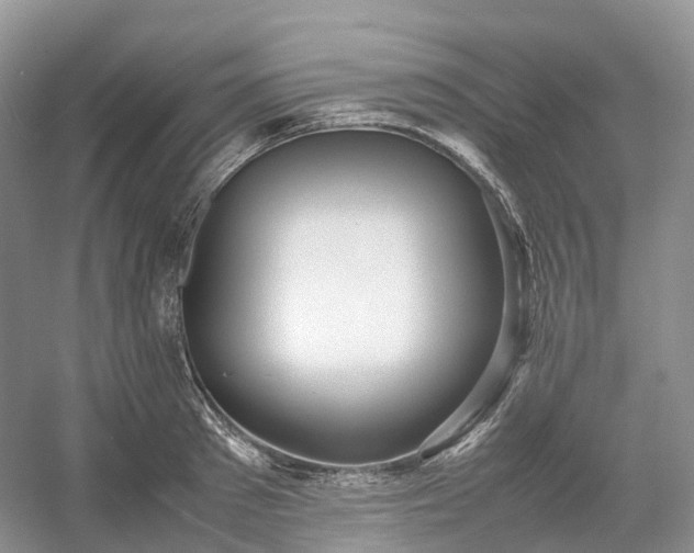 X0000054370897200508051552