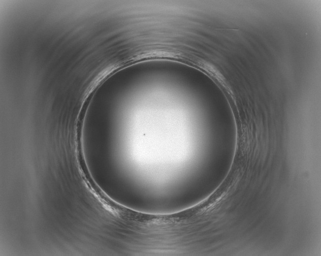 X0000054370898200508051552