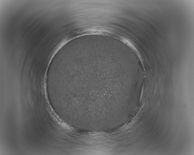 X0000054370899200508051552