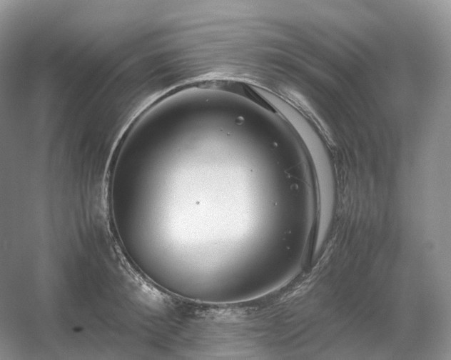 X0000054370900200508051552