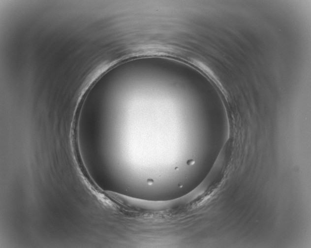 X0000054370901200508051552