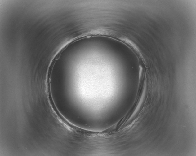 X0000054370902200508051552