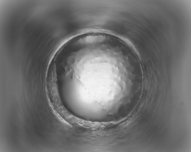 X0000054370903200508051552