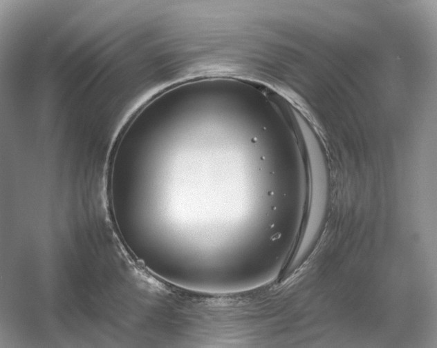 X0000054370904200508051552