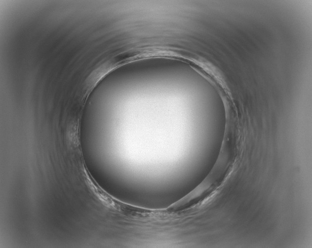 X0000054370905200508051552