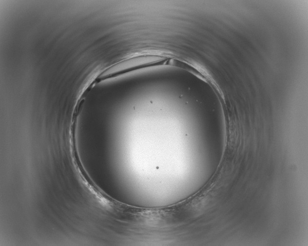 X0000054370906200508051552