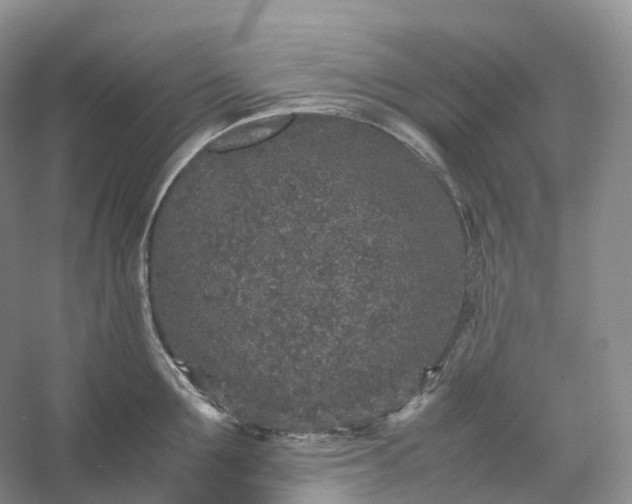 X0000054370907200508051552