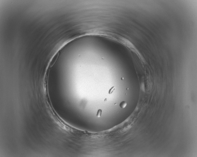 X0000054370908200508051552