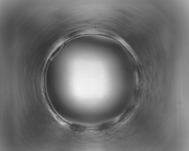 X0000054370909200508051552