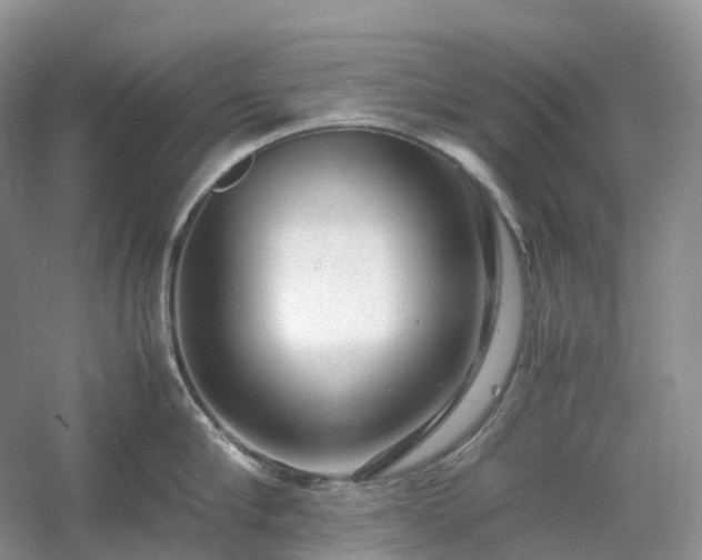 X0000054370910200508051552