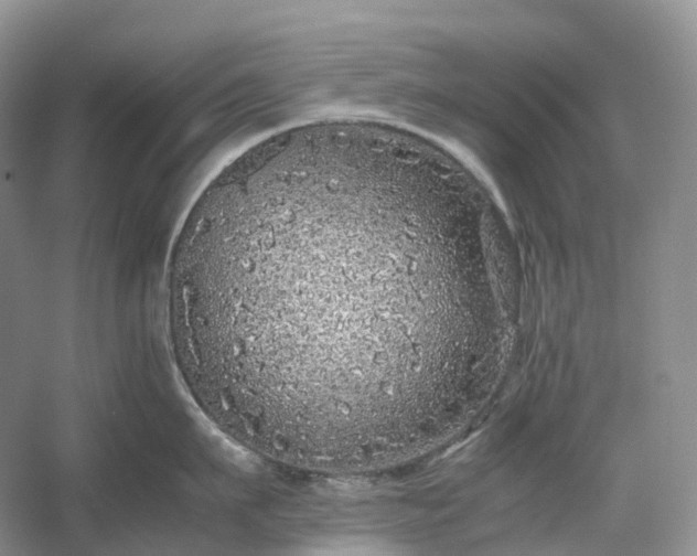 X0000054370911200508051552