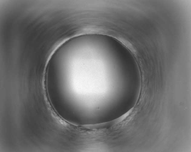 X0000054370912200508051552