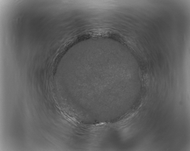 X0000054370913200508051551