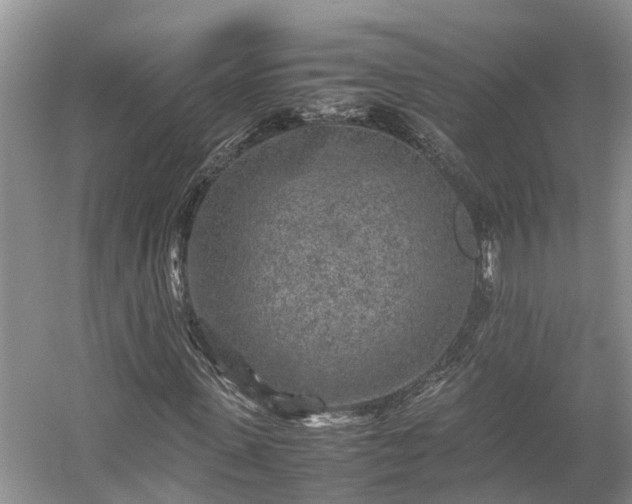 X0000054370915200508051551