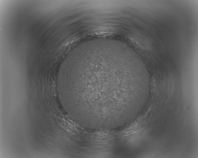 X0000054370917200508051551