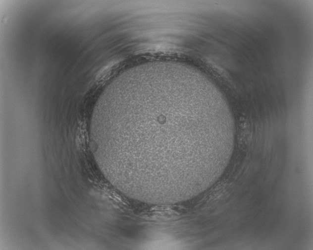 X0000054370918200508051551