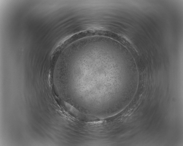 X0000054370919200508051551