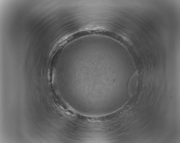 X0000054370920200508051551