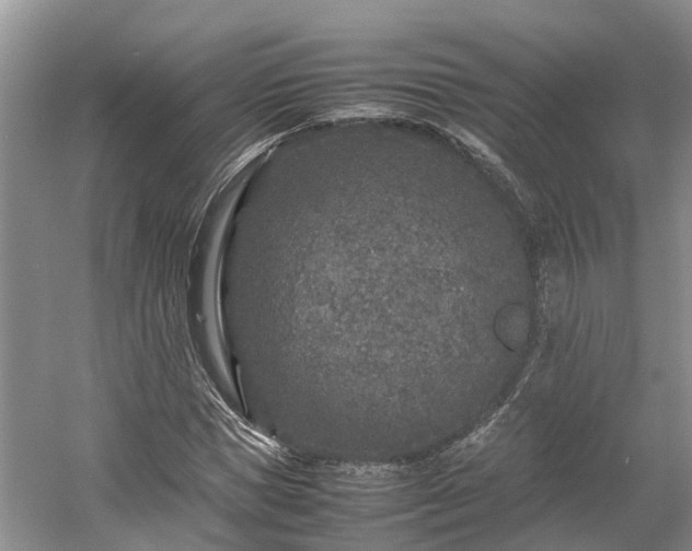 X0000054370921200508051551