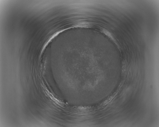 X0000054370923200508051551