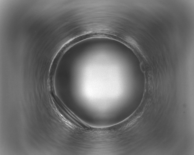 X0000054370924200508051551