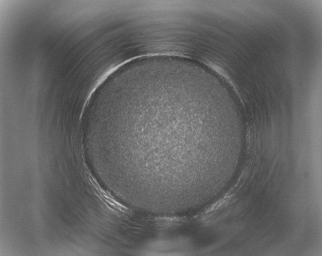 X0000054370925200508051551