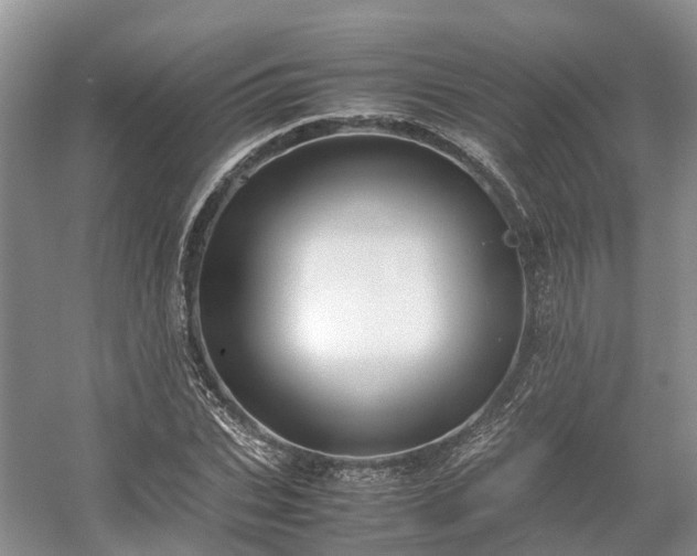 X0000054370927200508051551