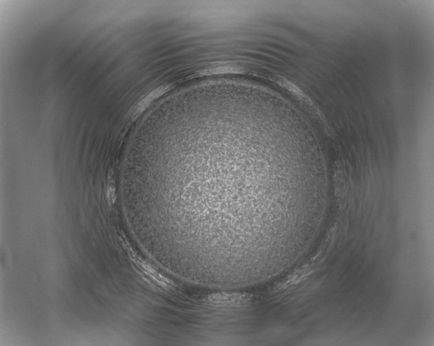 X0000054370929200508051551