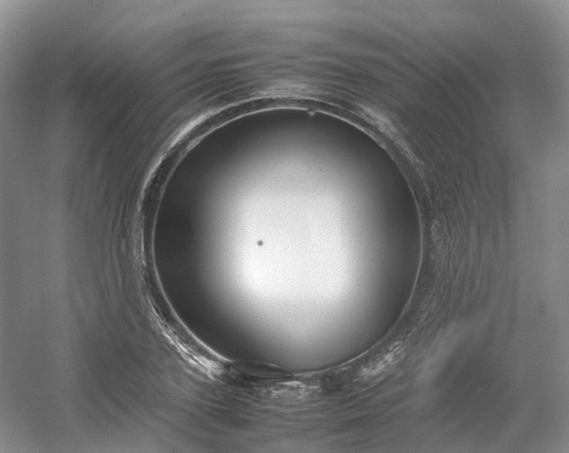 X0000054370931200508051551