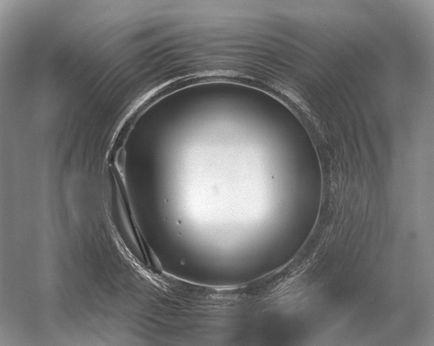 X0000054370933200508051551