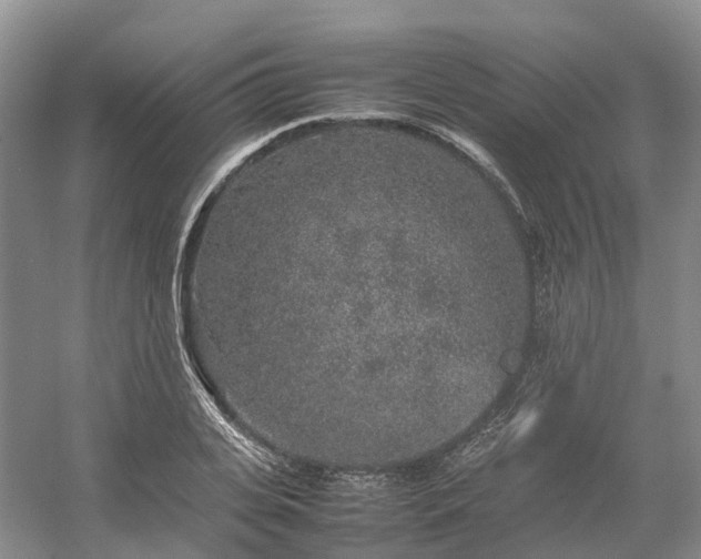 X0000054370935200508051551