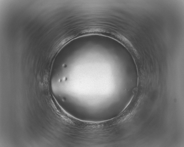 X0000054370937200508051551