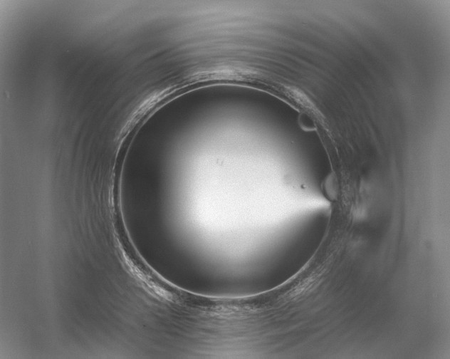 X0000054370938200508051551