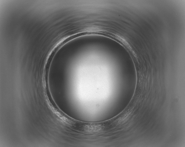 X0000054370939200508051551