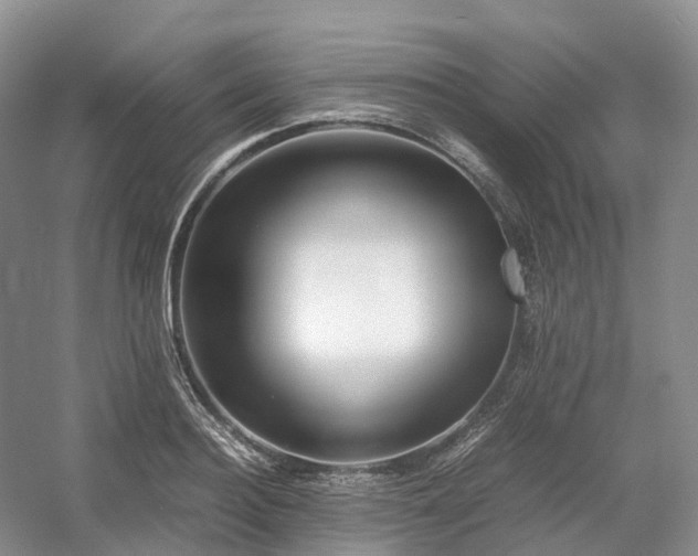 X0000054370940200508051551