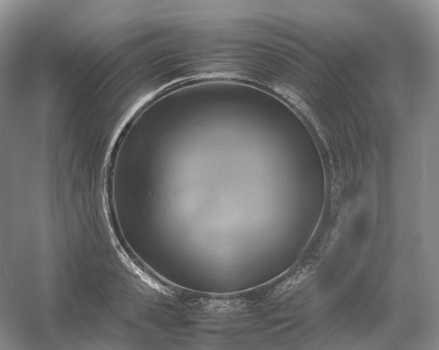 X0000054370941200508051551