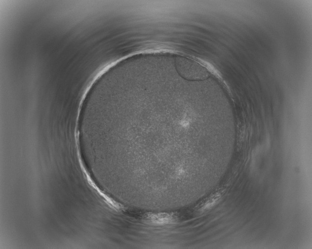 X0000054370943200508051551