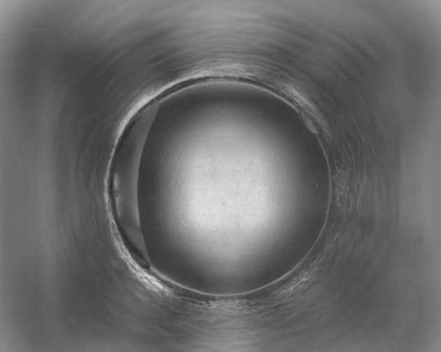 X0000054370944200508051551