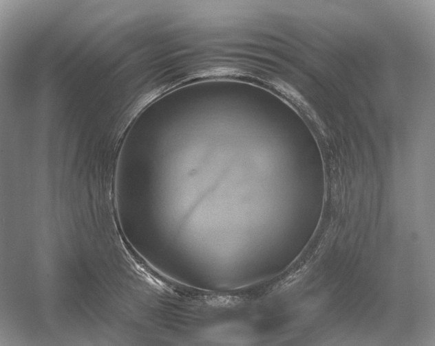 X0000054370945200508051551