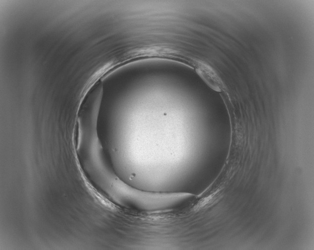 X0000054370946200508051551