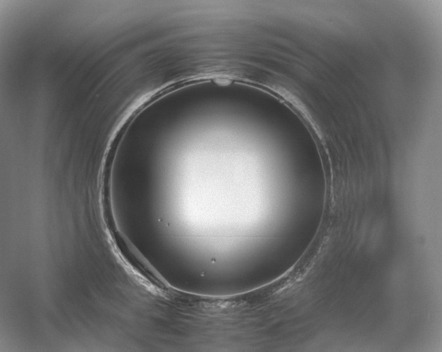 X0000054370949200508051551