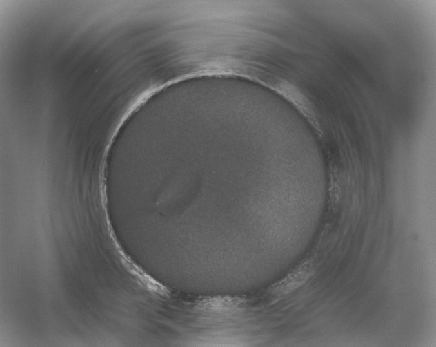 X0000054370950200508051551