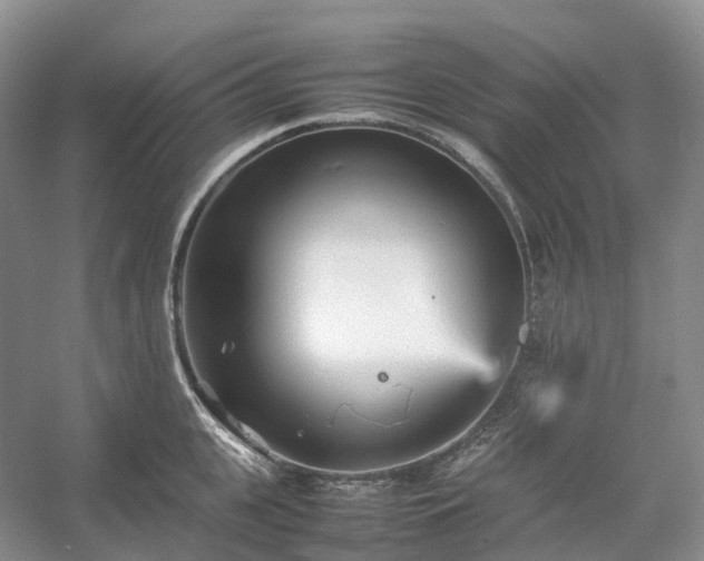 X0000054370951200508051551