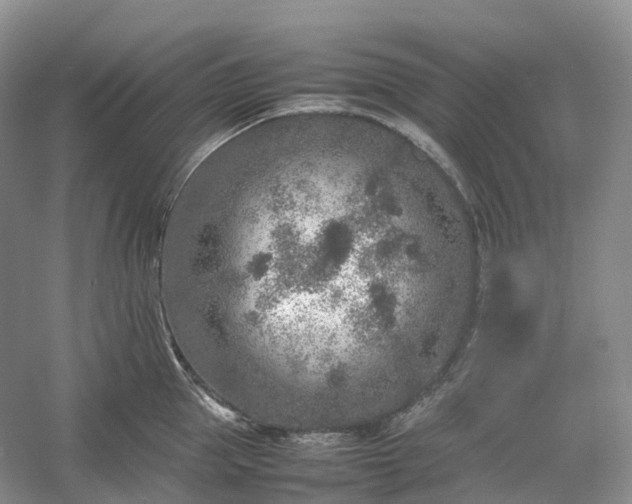 X0000054370953200508051551