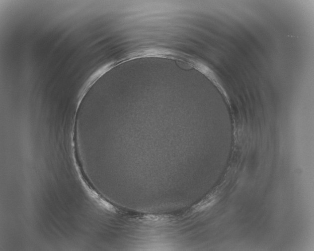 X0000054370954200508051552