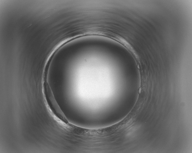 X0000054370955200508051552