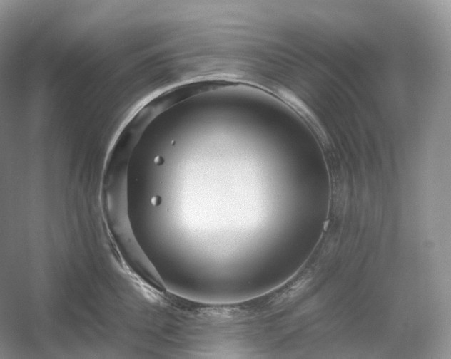 X0000054370956200508051552