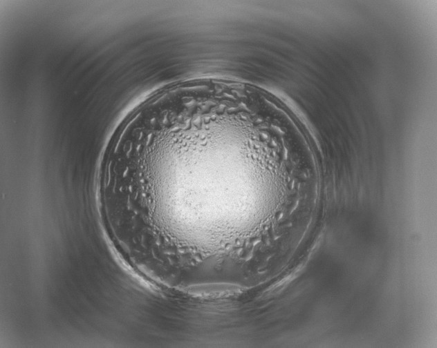 X0000054370957200508051552