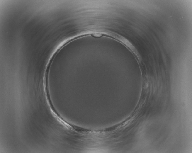 X0000054370958200508051552